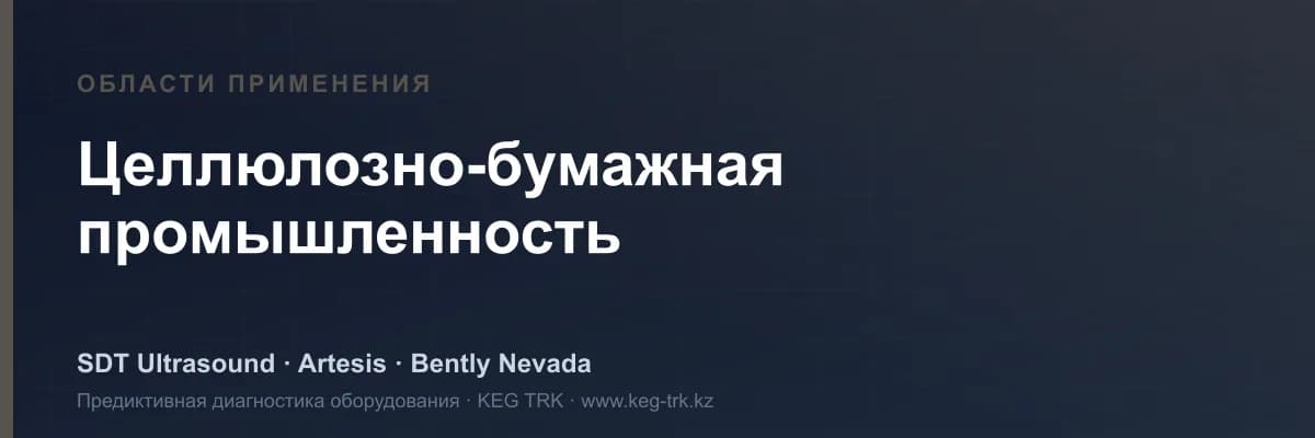 «Целлюлоза-қағаз өнеркәсібі» саласындағы жабдық мониторингі — SDT, Artesis, Bently Nevada шешімдері