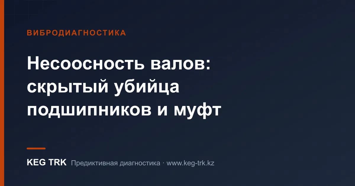 Вал сооссыздығы: мойынтіректер мен сальниктердің жасырын қырқушысы