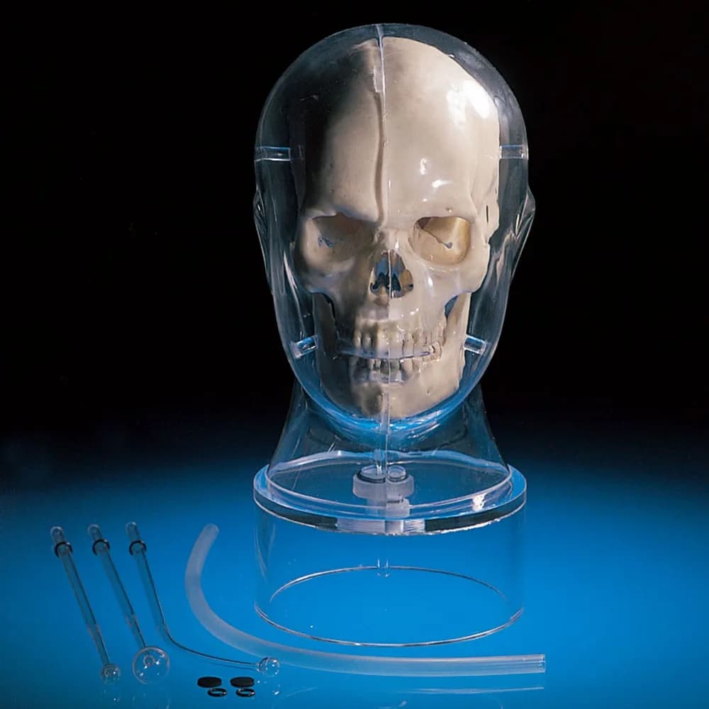 MRI/NM Head Phantom BHC — мРТ/ЯМ Фантом головы