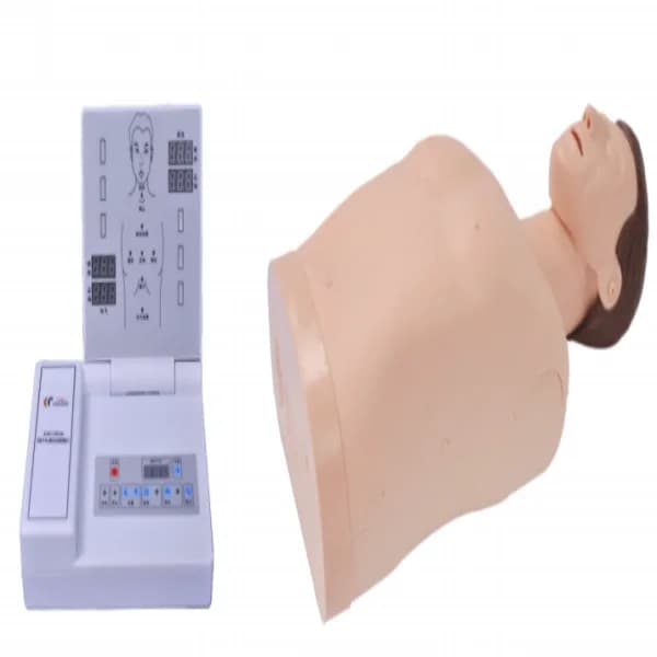 Попоясной манекен — для отработки навыков СЛР / KAR/CPR15200 Half Body CPR Training Manikin