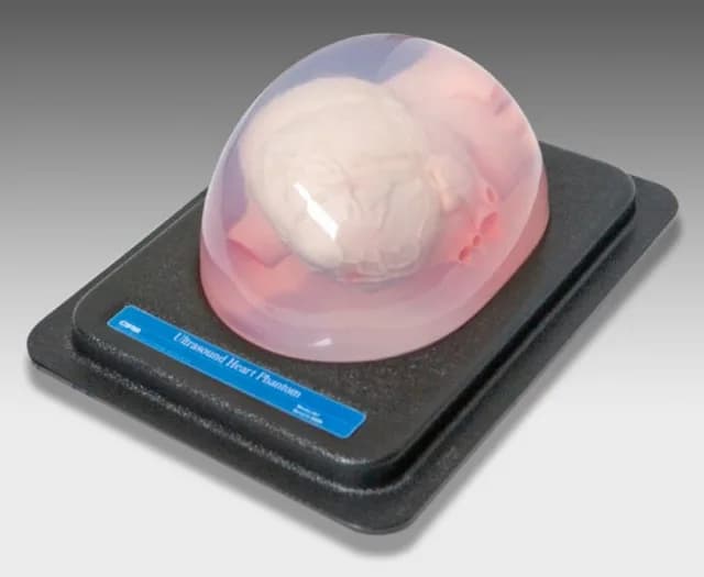 Ref.067 Ultrasound Heart Phantom — ультразвуковой фантом сердца УФС