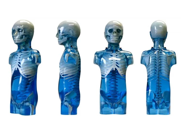 Ref. 715 Pediatric Anthropomorphic Training Phantoms — пАФ Педиатрический антропоморфный обучающий фантом