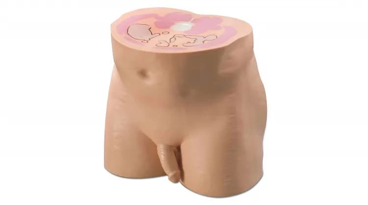 Ref. 801-P Virtually Human Male Pelvis Phantom — оМТ Мужской фантом органов малого таза
