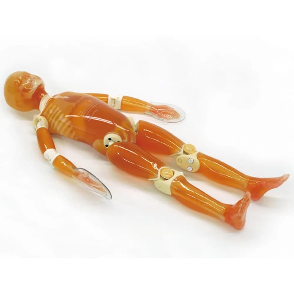 Ref. PH-50 Newborn whole body phantom — пФН Полноростовой фантом новорожденного