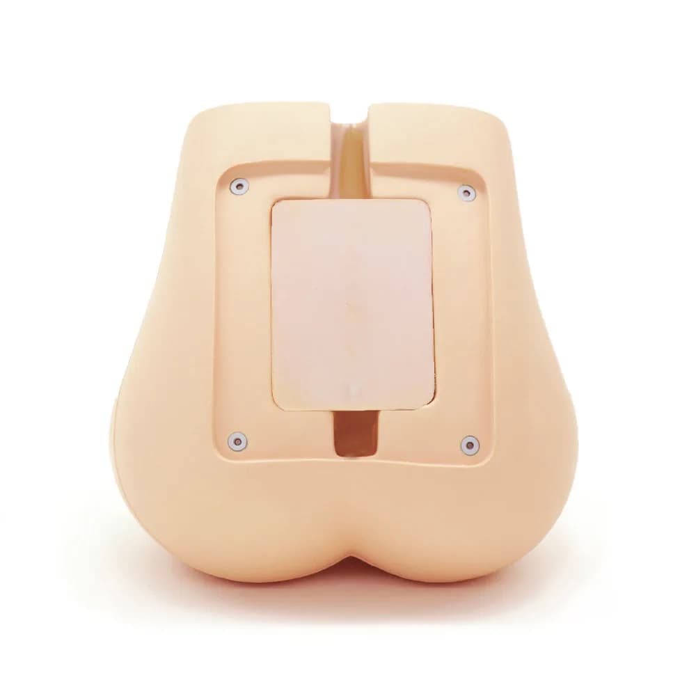 Ref. PH-51 41913-000 Lumbar Spine Fluoroscopy Training Phantom — фОО Обучающий фантом для рентгенодиагностики поясничного отдела