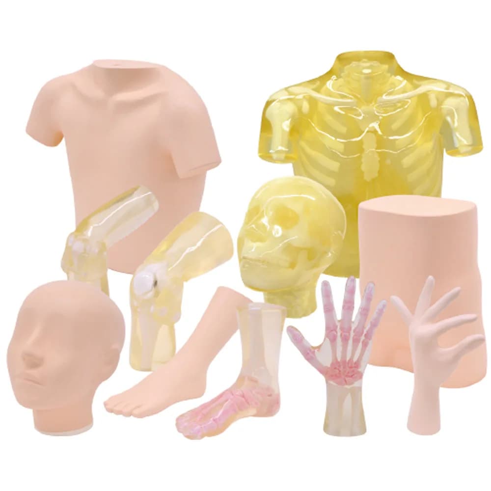 Ref. PH-61 Sectional Phantom Series (Plain X-rays) — секционные фантомы для общих РДА