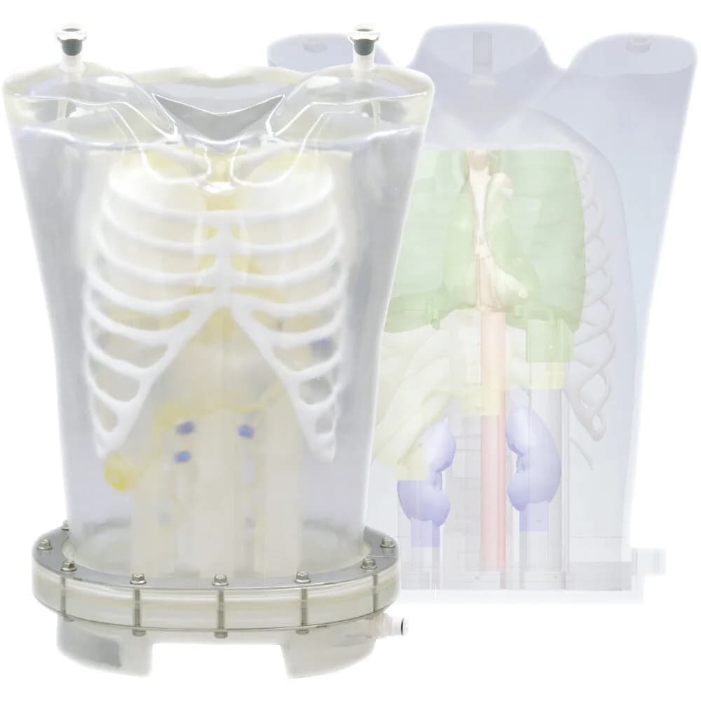 Ref. PH-63 PET/SPECT Thorax Phantom — пЭТ / ОФЭКТ Фантом грудной клетки