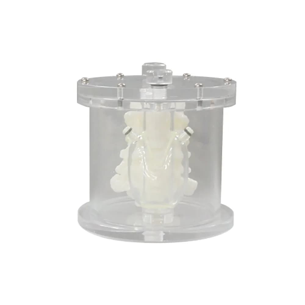 Ref. PH-69 Thyroid Phantom UN — PET / SPECT transparent thyroid phantom — НПП «Доза»