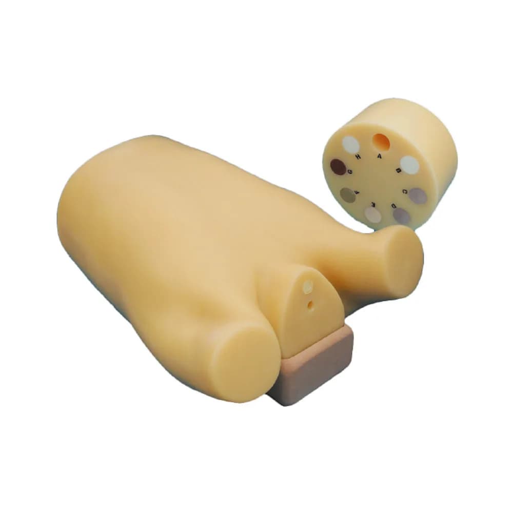 Ref.PH8 Lung Cancer Screening CT Phantom LSCT0001 — lCT фантом раковых легких