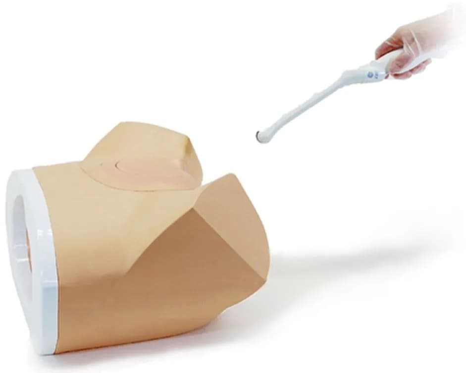 Ref.US-10 Female Pelvic Ultrasound Phantom — ультразвуковой фантом органов женского таза ОМТ