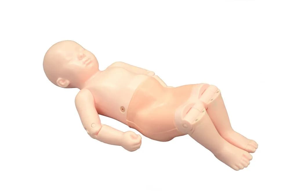 Ref.US-13 Infant Hip Sonography Training Phantom — тренировочный фантом для сонографии бедра младенца