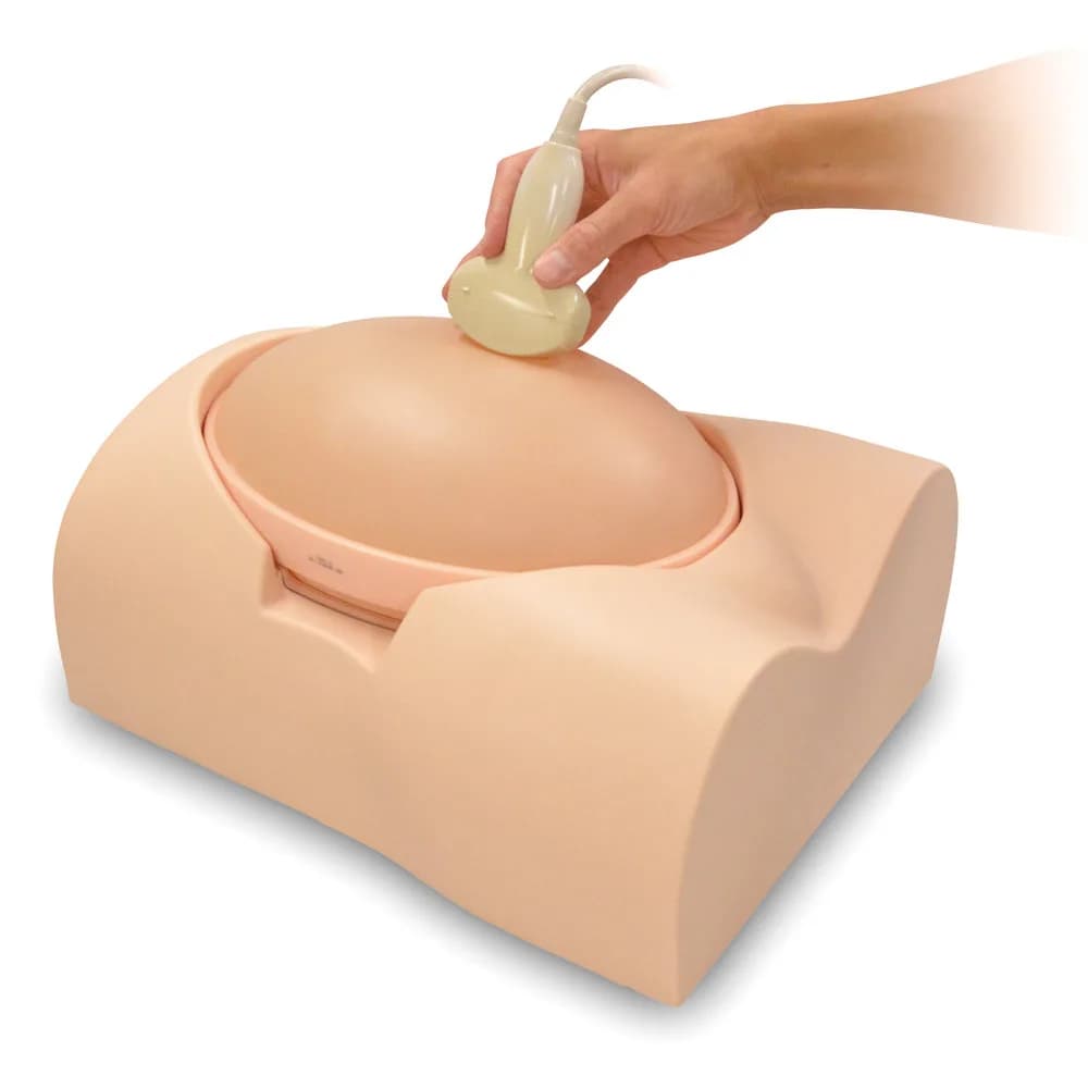 Ref.US-7a Fetus Ultrasound Examination Phantom "SPACE FAN-ST" — фетальный фантом для ультразвукового исследования