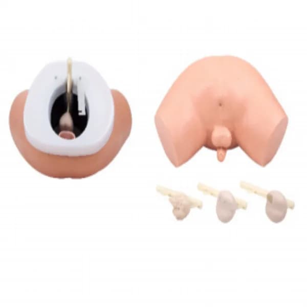 Simulyator Prostaty — for digital rectal examination of the prostate / KAR/F2 Prostate Examination Simulator — НПП «Доза»