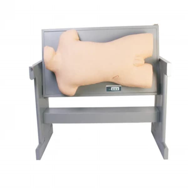 Trenirovochnaya Model Bryushnoy Polosti — құрсақ қуысын пункциялауға арналған / KAR/CK813 Abdominal Cavity Puncture Training Model — НПП «Доза»