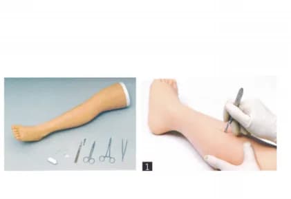 Тренировочная модель ноги для наложения хирургических швов — kAR/M Surgical Suture Leg Model