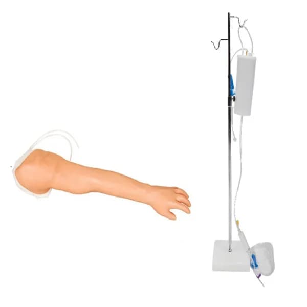 Тренировочная модель руки — для венепункции / KAR/S8 Venipuncture and Injection Training Arm Model