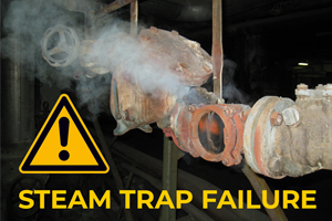 Trap sensor point